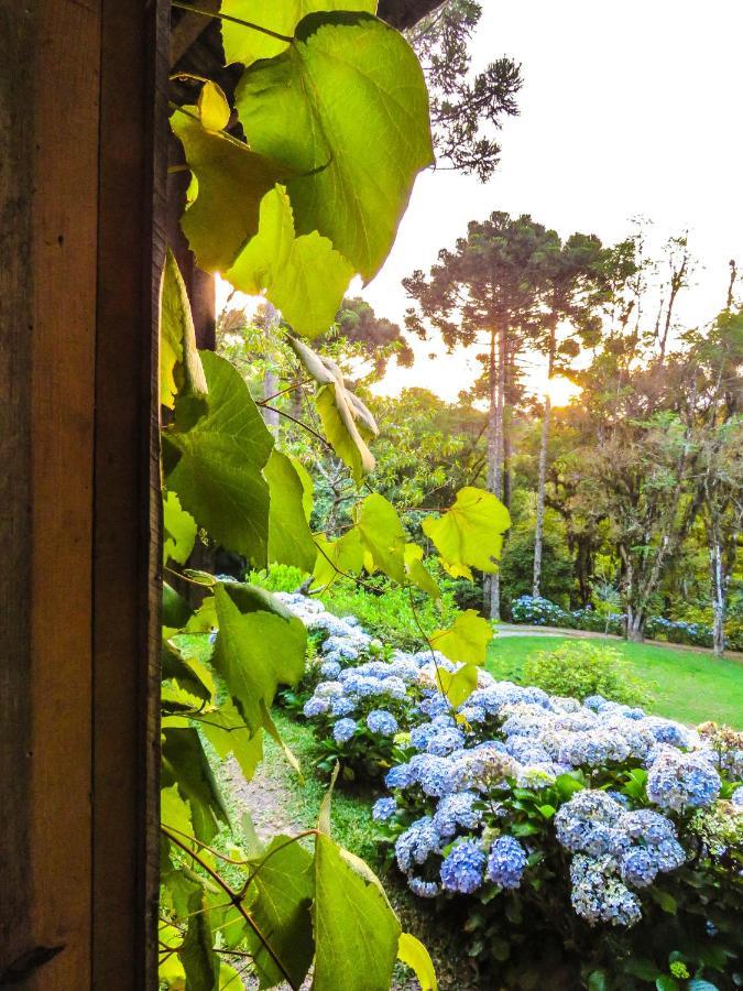 Rancho Do Lucas - Cabana E Chale São Bento do Sul エクステリア 写真