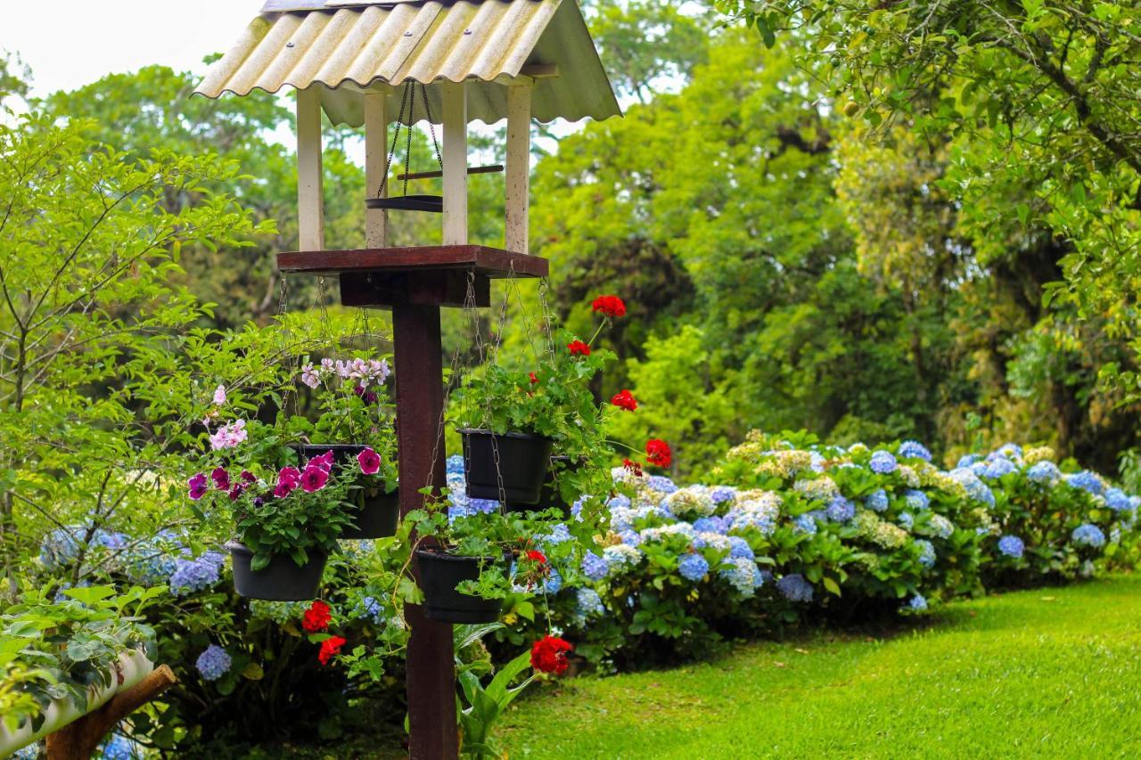 Rancho Do Lucas - Cabana E Chale São Bento do Sul エクステリア 写真