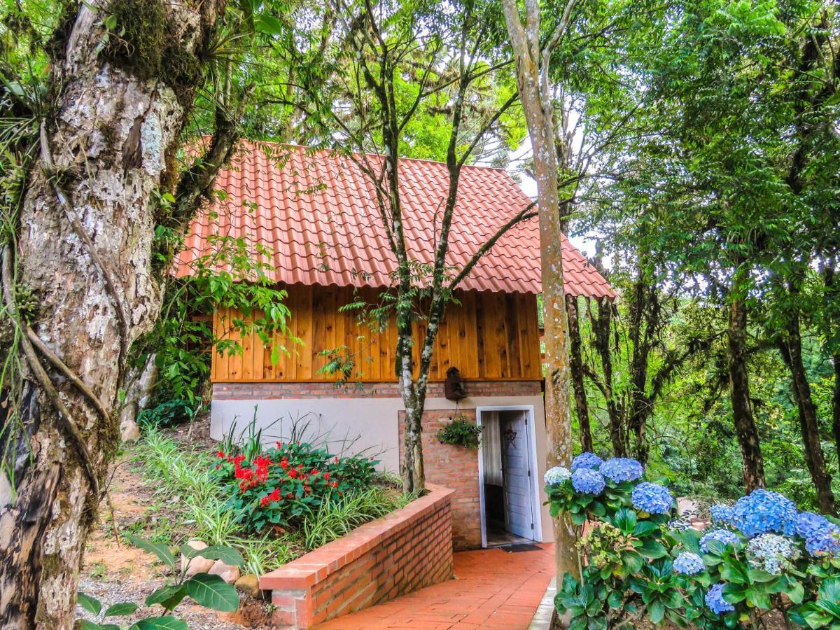 Rancho Do Lucas - Cabana E Chale São Bento do Sul エクステリア 写真