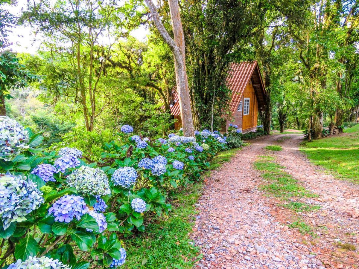 Rancho Do Lucas - Cabana E Chale São Bento do Sul エクステリア 写真