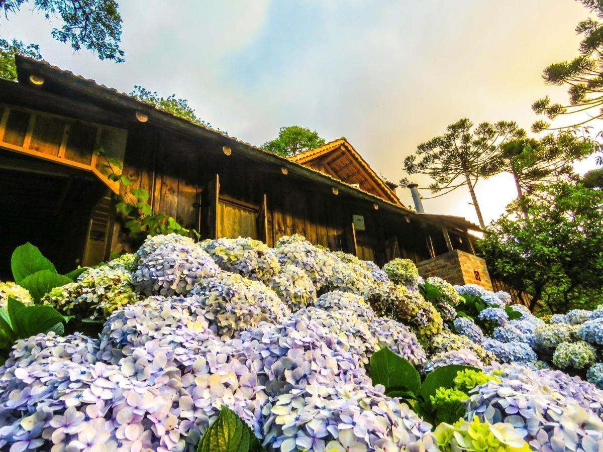 Rancho Do Lucas - Cabana E Chale São Bento do Sul エクステリア 写真